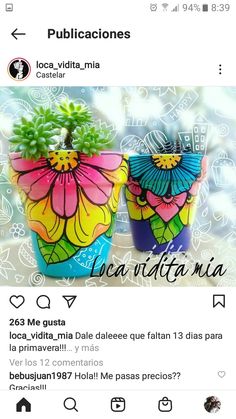 an instagram page with two flower pots on the left and one in the middle