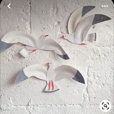 two paper plates with birds on them hanging from the wall