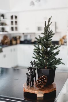 a small christmas tree sitting on top of a counter