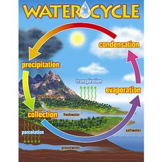 the water cycle is shown in this graphic