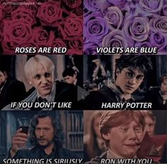 some harry potters and roses with the same caption in each one's face