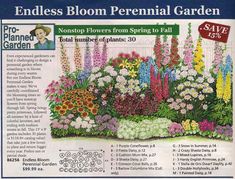 an advertisement with flowers in the middle of it and information on how to plant them