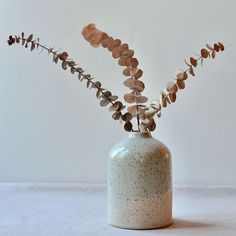 a white vase with dried flowers in it