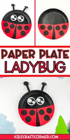 paper plate ladybug craft for kids to make