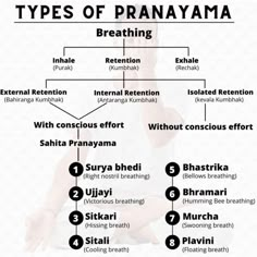 the types of pranayama and their corresponding body parts are shown in this diagram