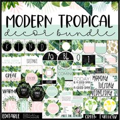 the modern tropical bundle is shown in green and pink