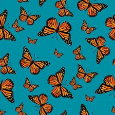 many orange butterflies on a blue background