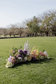 a bunch of flowers that are laying on the ground in the grass with trees in the background