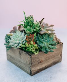 a wooden box filled with lots of succulents on top of a table