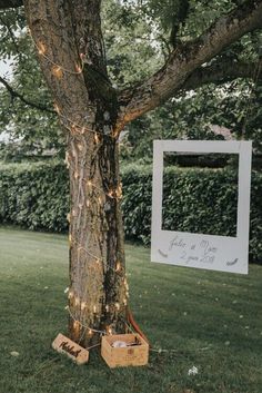 a tree with some lights on it and a sign hanging off the side of it