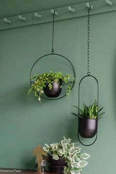 two hanging planters with plants in them on a wall next to a mirror and shelf