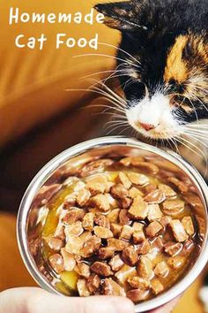 a person holding a bowl of food with a cat looking at it and the caption reads homemade cat food