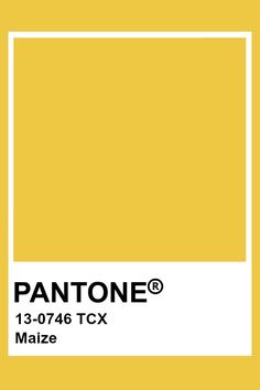 the pantonee color is shown in yellow and has a white rectangle on it