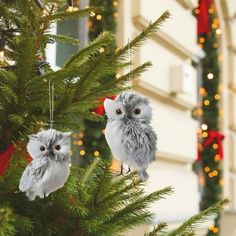 two owls are hanging from a christmas tree