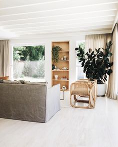 a living room filled with furniture next to a window covered in curtains and potted plants