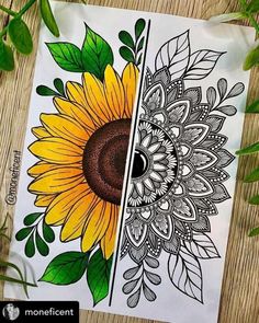 a sunflower with green leaves on it next to a piece of paper that has been drawn