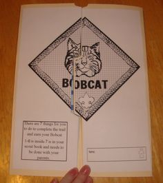 a hand holding an open book with a cat on it's cover and the words bobcat