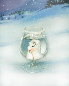 Adult Drinks, Party Drinks, Snow Globe, Liqueur