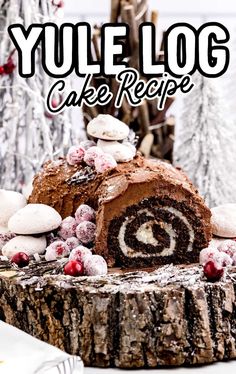 yule log cake recipe with chocolate frosting and cranberries on the side