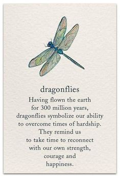 a card with an image of a dragonfly on it's back and the words,