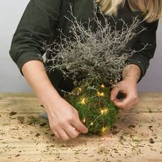 a woman holding a potted plant with fairy lights on it's stems and branches