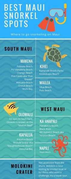 the best snorkel spots in the world infographical guide for scuba enthusiasts