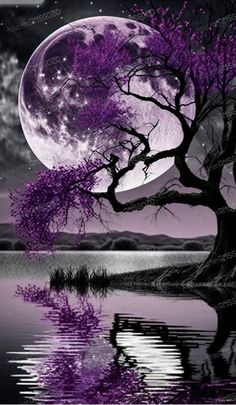 a tree with purple leaves is reflected in the water under a full moon and stars