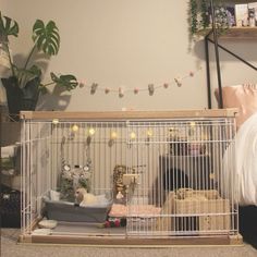 a small caged animal in a living room