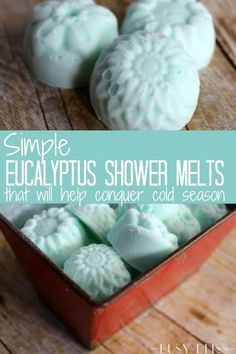 simple eucalyptus shower melts that will help conquer cold season and keep your skin fresh