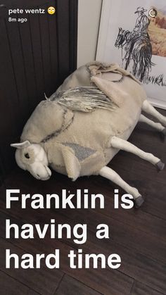 a stuffed animal laying on top of a hard wood floor next to a poster that says franklin is having a hard time