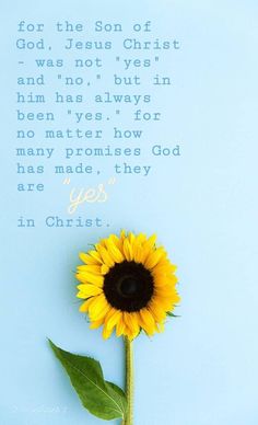 a yellow sunflower with a blue background and the words, for the son of god, jesus christ was not