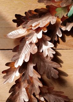 a bunch of leaves that are on top of a wooden table and one is brown