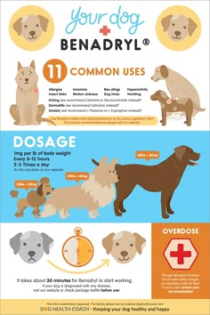 an info poster showing the different types of dogs and how they are used to treat them