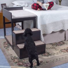 a black dog standing in front of a bed next to a woman reading a book