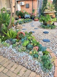 a garden filled with lots of plants and rocks