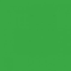 a green screen with the words, what's your favorite color? on it