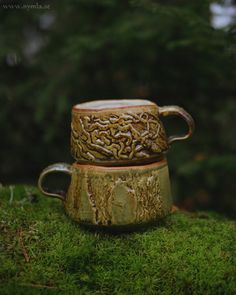 two coffee mugs sitting on top of a moss covered ground