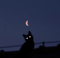 a black cat sitting on top of a roof next to a half moon at night