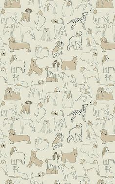 an image of many different dogs on a white background with brown and black lines in the middle