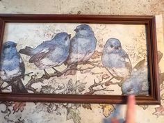 a person is holding up a framed photo with birds on the branch in front of them