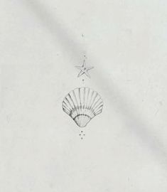 an ink drawing of a seashell and starfish on a white paper with black ink