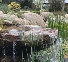 there is a large rock with water coming out of it and grass growing around it