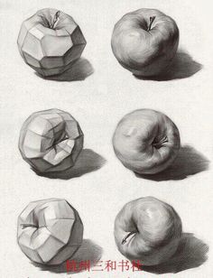 an apple is shown in four different stages of life drawing with graphite on paper