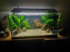 an aquarium with rocks, plants and gravel in the water on a shelf next to a wall