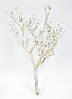 a white tree with no leaves is shown in front of a white wall and floor