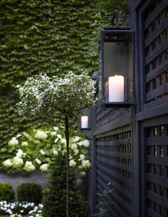 a candle is lit in the middle of a garden with white flowers and greenery