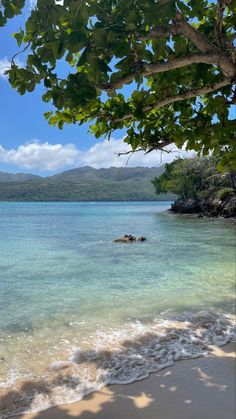 the beach is clear and blue with waves coming in from the water, under a tree