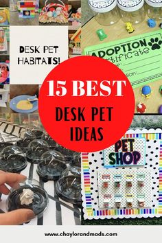 a collage of different items with the words 15 best desk pet ideas on them