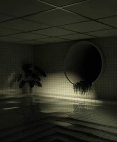 an empty swimming pool at night with light coming from the ceiling and plants growing in it