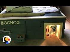 an eggnog dog kennel is shown in this image with the door open